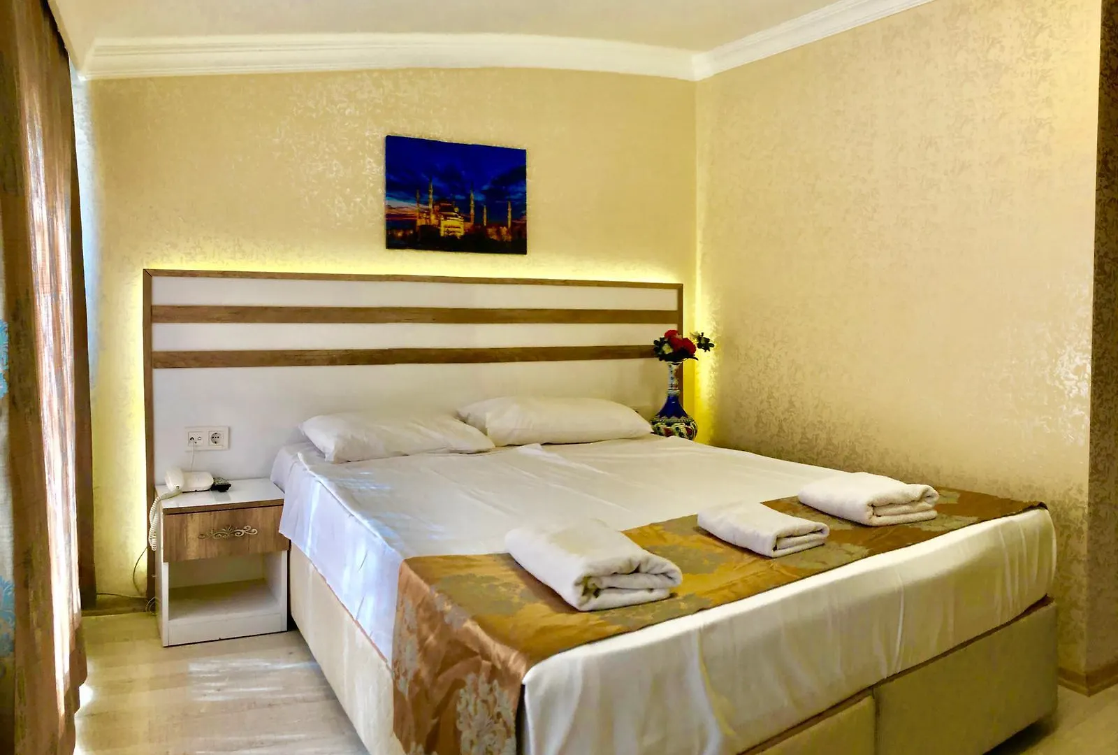 ***  Theodian Hotel Istambul Turquie