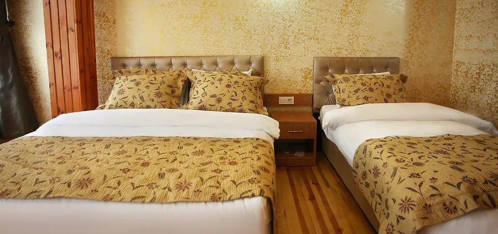 Theodian Hotel Istambul Turquie