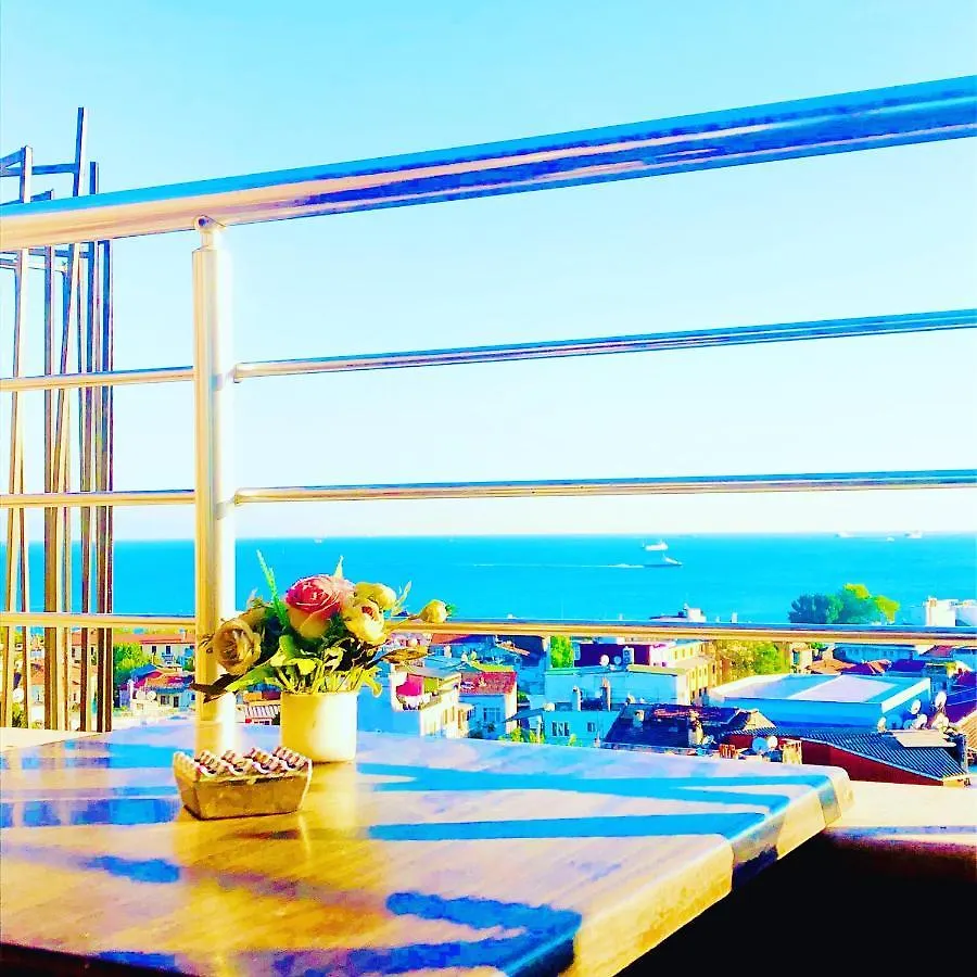 Theodian Hotel İstanbul 3*,